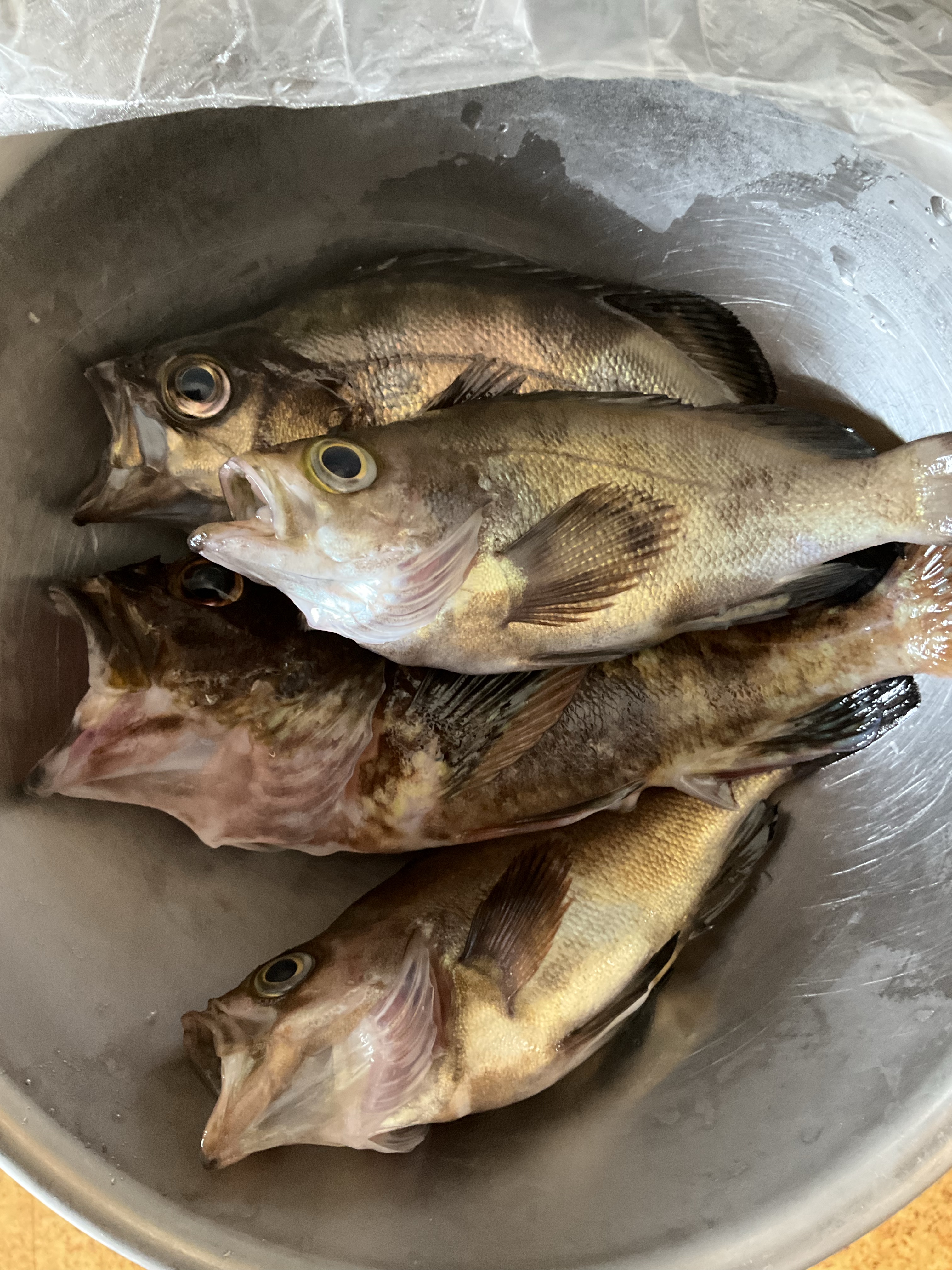 釣りバカ様用 | cantodaspiscinas.com.br